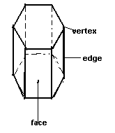 Bitmap Image